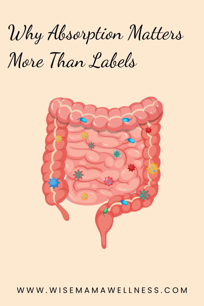 Illustration of the digestive system representing how nutrient absorption affects the benefits of goat milk and cow milk