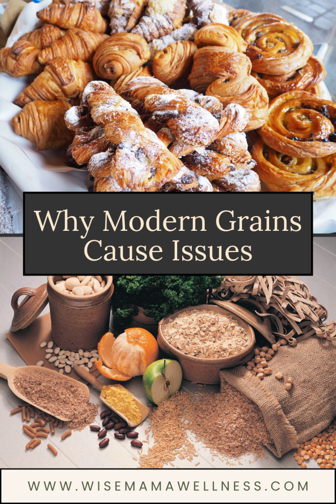 Comparison of processed pastries and whole grains for  grains and dental health discussion 