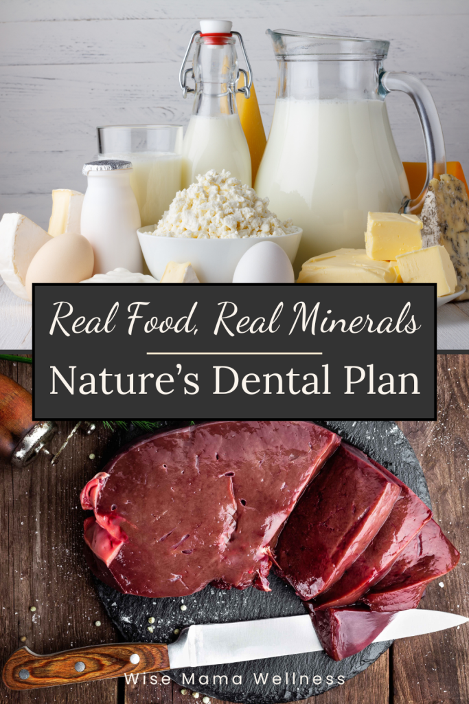 Split image of raw liver on dark wood and raw milk, butter, and cheese with text “Real Food, Real Minerals — Nature’s Dental Plan.”